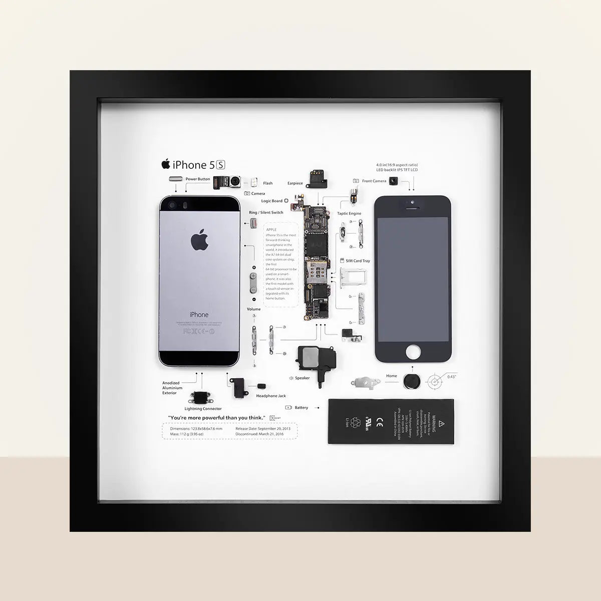 Xreart iPhone 5S Teardown Artwork, Geek Gift Idea