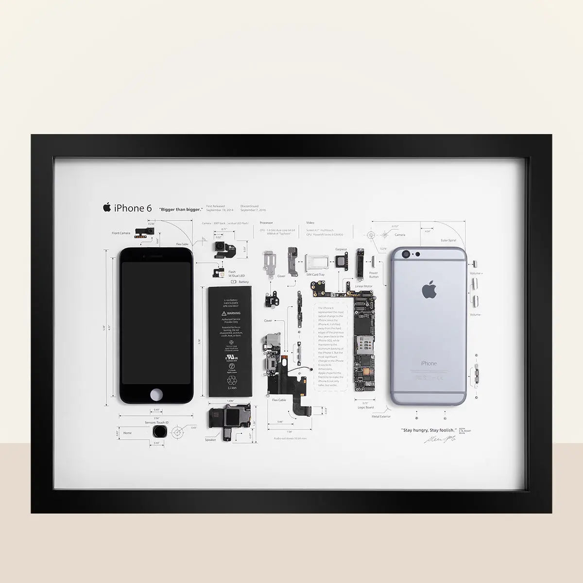 Xreart iPhone 6 Framed Handmade Art Teardown Shawdow box