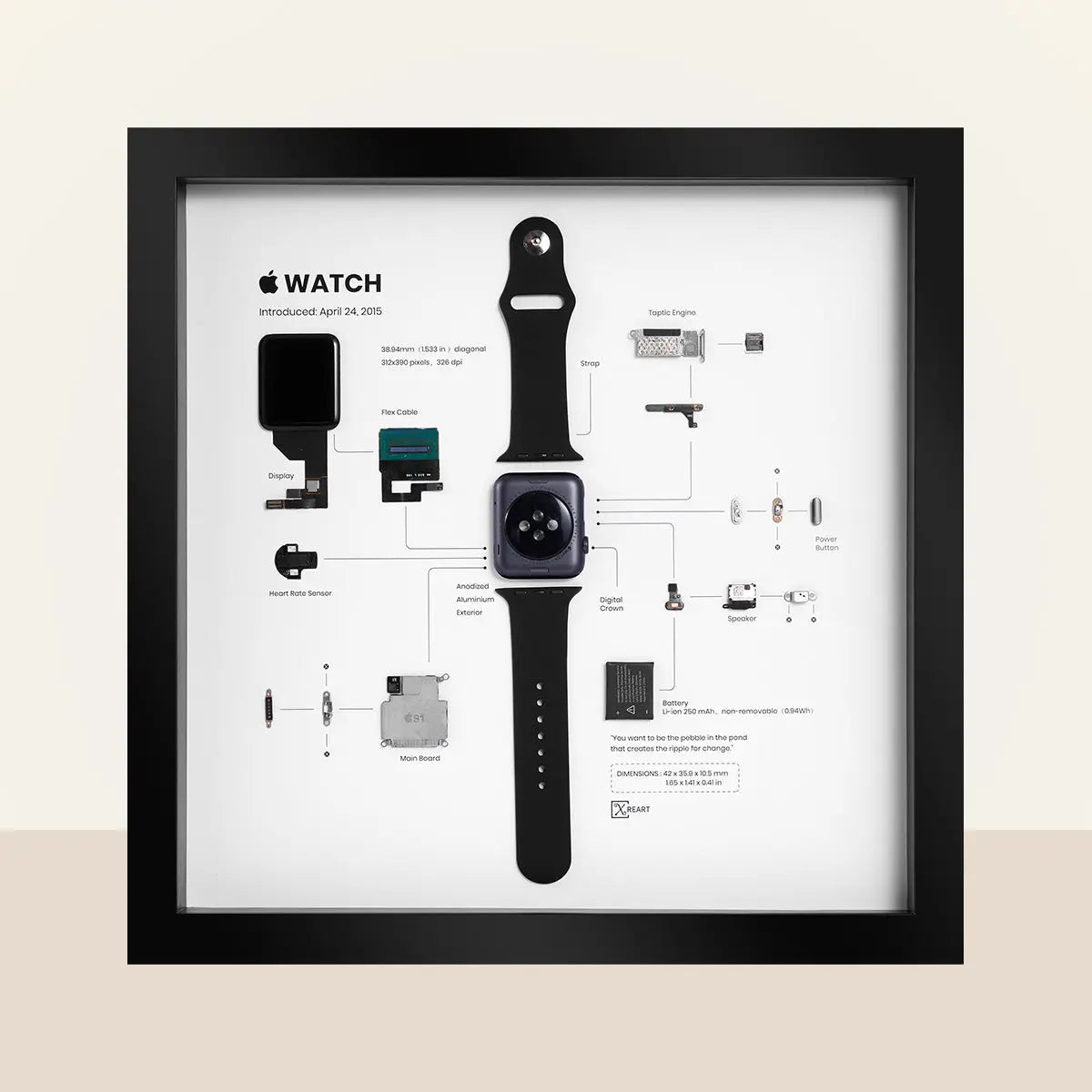 Apple Watch Series 3 Dimensions & Drawings