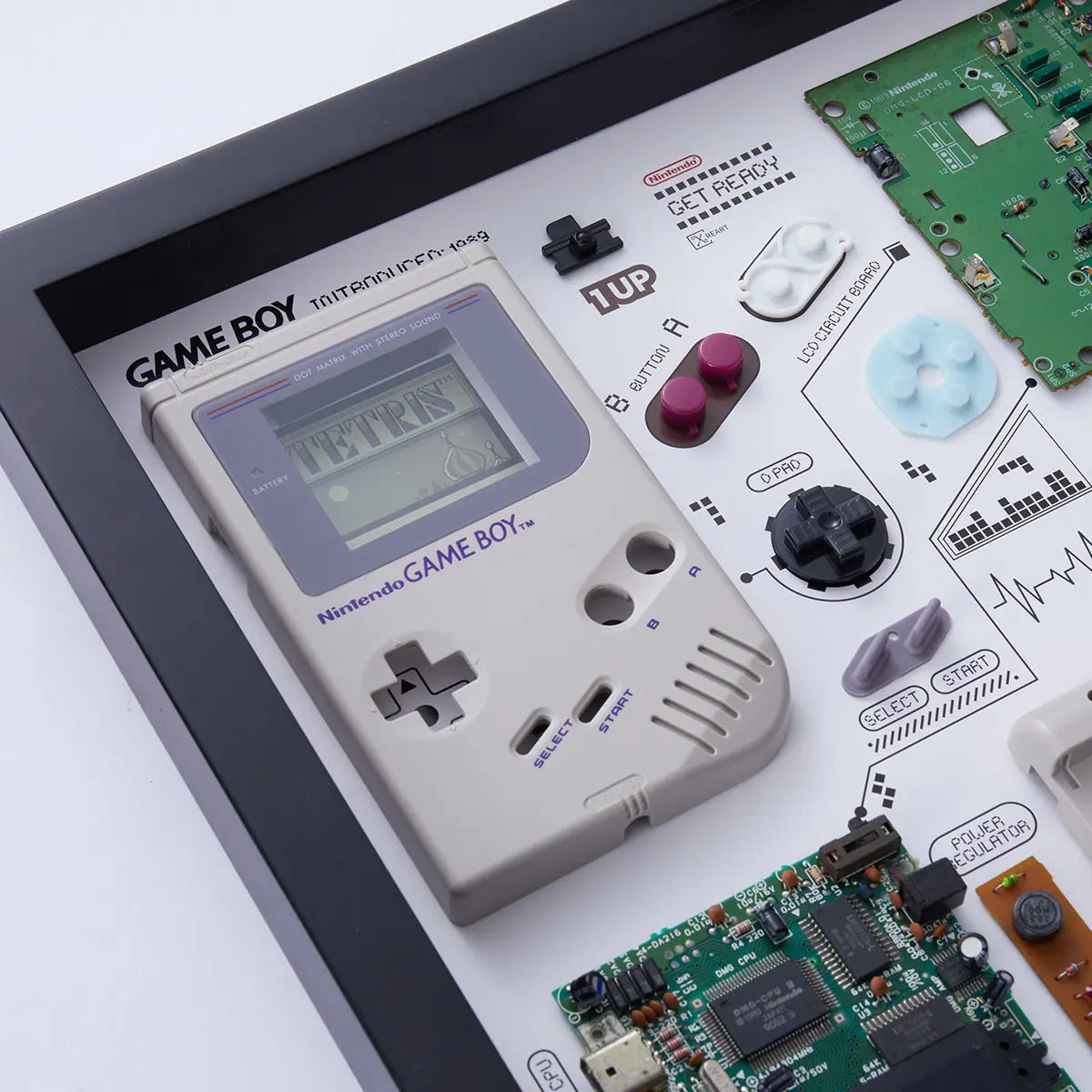 Xreart Nintendo Game Boy Original (1989)-Teardown Frame