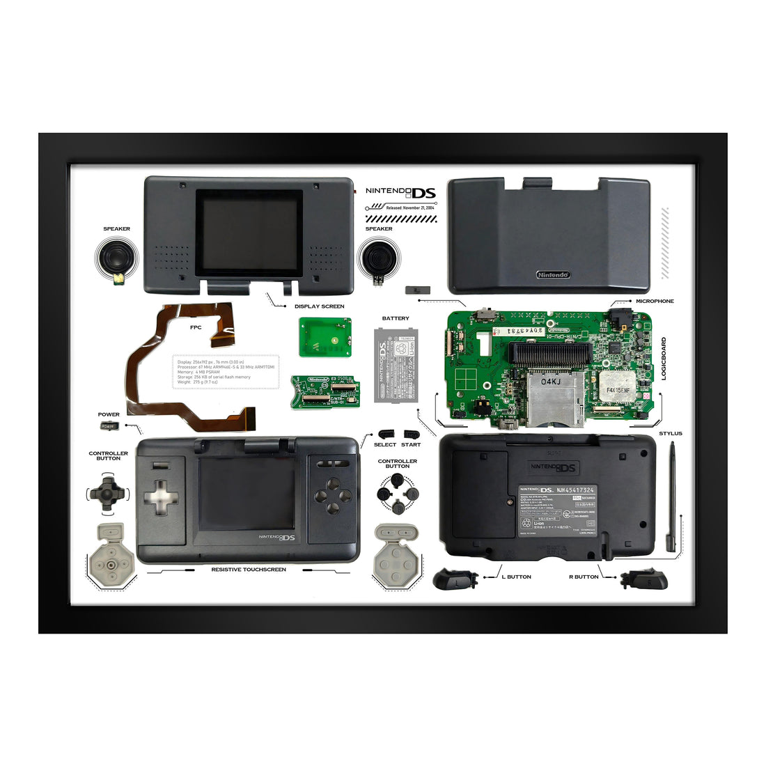 Nintendo DS Disassembly Digital Template Download (PDF)