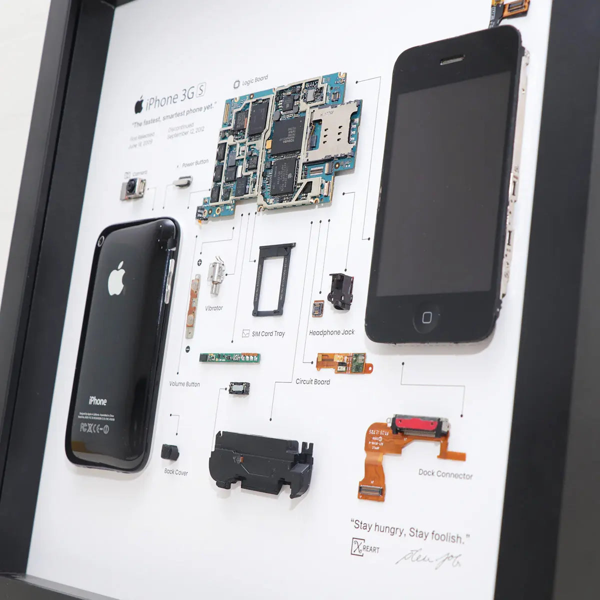 Xreart iPhone 3GS Teardown Framed, Best Geek Gift for Geek