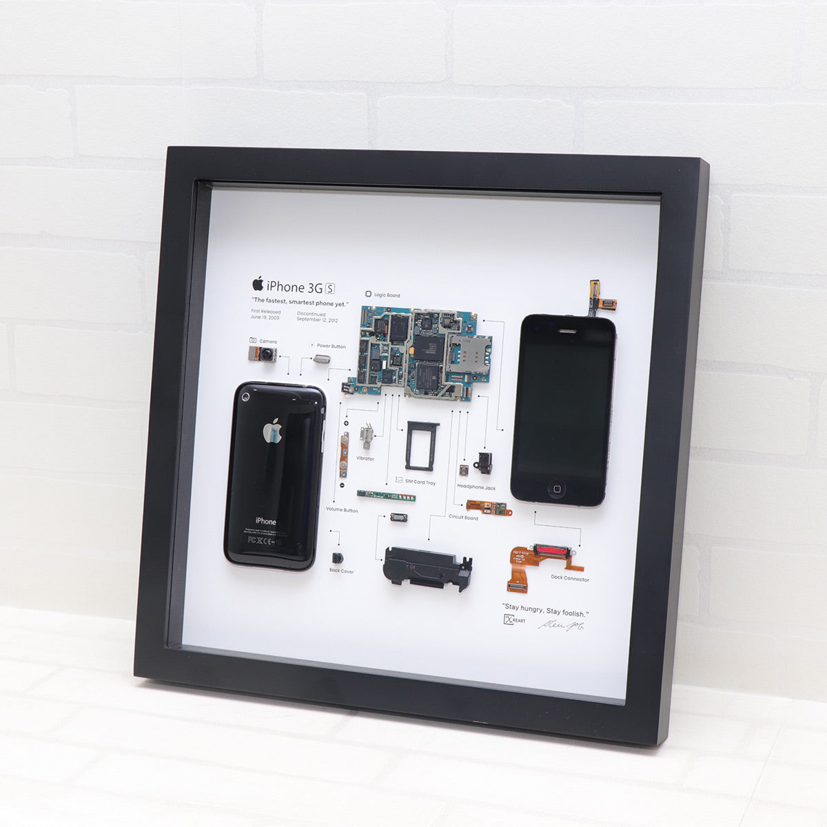 iPhone-3GS-Deconstructed-Art-