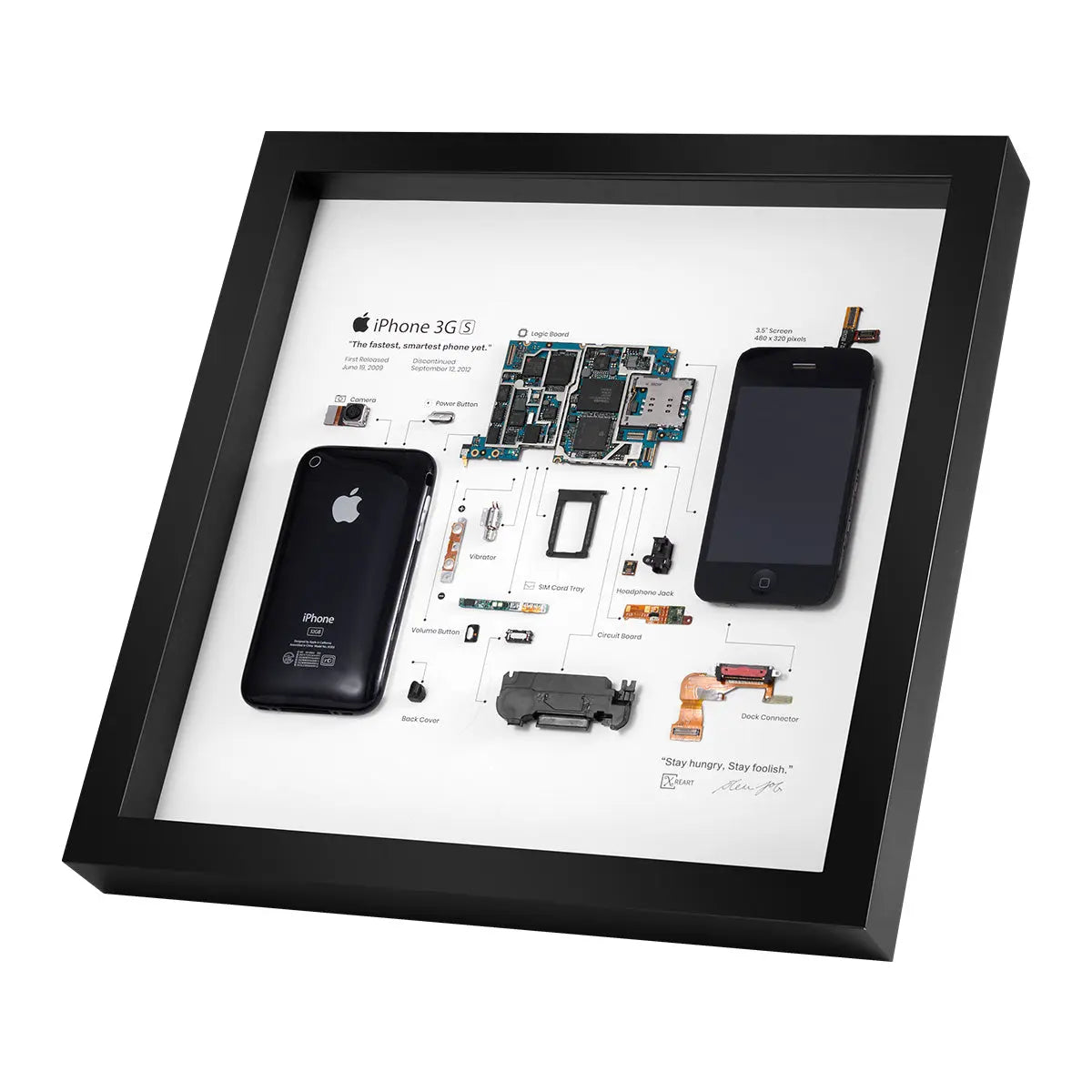 Disassembled iPhone 6 Art With Frame, Disassemble buy Art, Framed iPhone 6 Teardown,