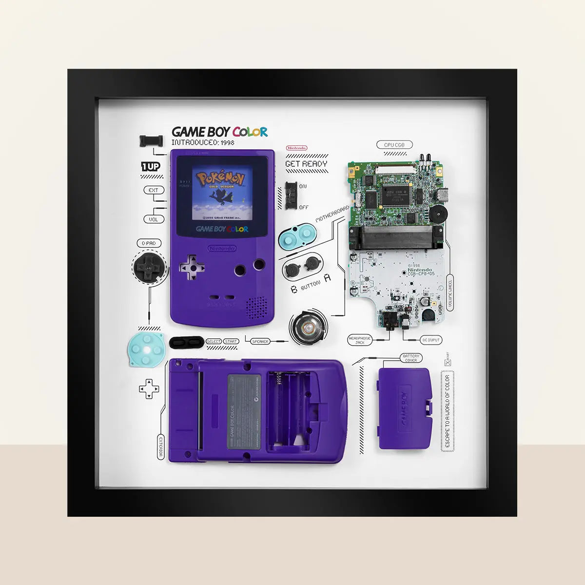 Nintendo Gameboy Color buy (purple)