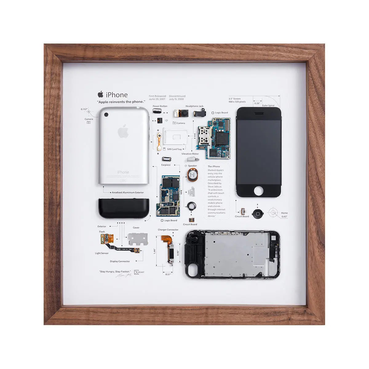 iPhone (1st Generation) Teardown Creative Wall Decor Framework